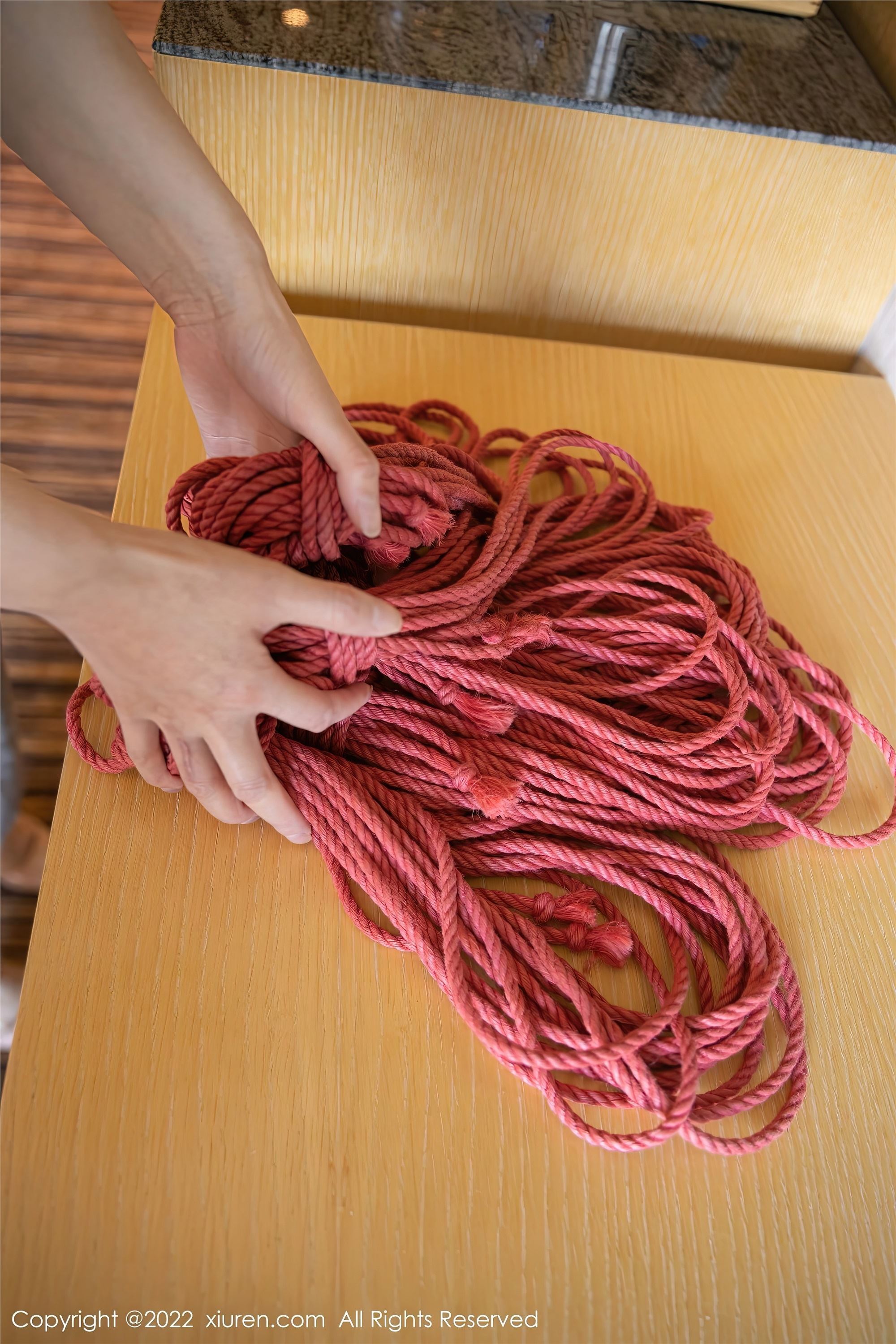 Xiuren秀人网 2022.11.25 NO.5910 就是阿朱啊